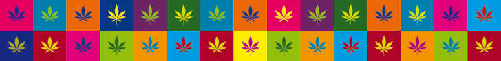CULTIVA 2017 Webbanner