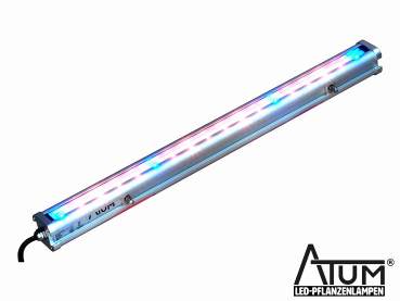 ATUM LEDbar 36W/600mm Doubleside Bloom
